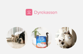 Dyrekassen
