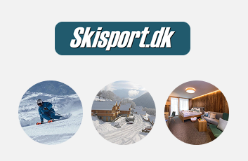 Skisport