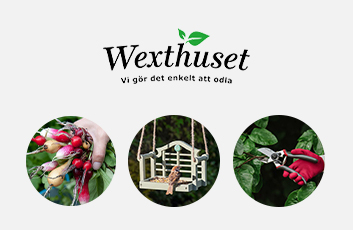 Wexthuset