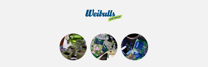 Weibulls